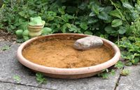 Einfacher Trink- und Badeplatz im Garten