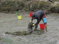 ... um möglichst alle Tiere einzusammeln.