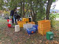 Die Tiere in Warteposition: